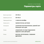 Ангелония узколистная Snowball (0,1л) — параметры сорта