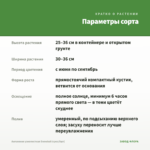 Ангелония узколистная Snowball (срез/5шт) — параметры сорта