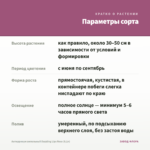 Антирринум ампельный Dazzling Lips Rose (0,1л) — параметры сорта