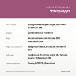 Антирринум ампельный Dazzling Lips Rose (0,1л) — что приедет