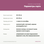 Антирринум Dazzling Lips Rose (0,1л) — параметры сорта