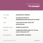 Антирринум Dazzling Lips Rose (0,1л) — что приедет