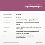 Антирринум Dazzling Lips Rose (срез/5шт) — параметры сорта