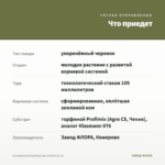 Антирринум Dazzling Lips Sunset (0,1л) — что приедет