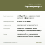 Антирринум Dazzling Lips Sunset (0,1л) — параметры сорта