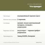Антирринум Dazzling Lips Sunset (срез/5шт) — что приедет