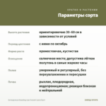 Антирринум Dazzling Lips Sunset (срез/5шт) — параметры сорта