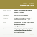 Антирринум Dazzling Lips Yellow Eye (0,1л) — параметры сорта