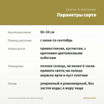 Антирринум Dazzling Lips Yellow Eye (0,1л) — параметры сорта