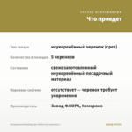 Антирринум Dazzling Lips Yellow Eye (срез/5шт) — что приедет