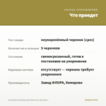 Антирринум Dazzling Lips Yellow Eye (срез/5шт) — что приедет