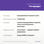 Антирринум (Львиный зев) Candy Showers Deep Purple (срезы/5шт) — что приедет