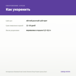 Антирринум (Львиный зев) Candy Showers Deep Purple (срезы/5шт) — как укоренить черенок