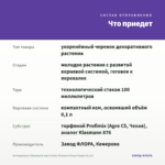 Антирринум (Львиный зев) Candy Showers Deep Purple (0,1л) — что приедет