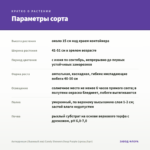 Антирринум (Львиный зев) Candy Showers Deep Purple (срезы/5шт) — параметры сорта