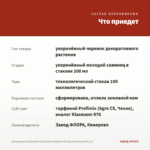 Антирринум (Львиный зев) Candy Showers Orange Ампельный(0,1л) — что приедет