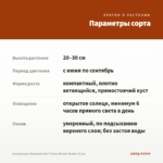Антирринум (Львиный зев) Twinny Bronze Shades (0,1л) — параметры сорта