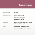 Антирринум (Львиный зев) Twinny Rose (0,1л) — параметры сорта