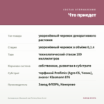 Антирринум (Львиный зев) Twinny Rose (0,1л) — что приедет