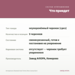 Антирринум (Львиный зев) Twinny Rose (срезы/5шт) — что приедет
