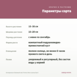 Антирринум (Львиный зев) Twinny Rose (срезы/5шт) — параметры сорта