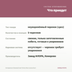 Антирринум (Львиный зев) Twinny Rose (срезы/5шт) — что приедет