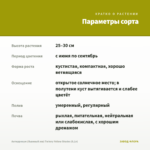 Антирринум (Львиный зев) Twinny Yellow Shades (0,1л) — параметры сорта