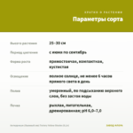 Антирринум (Львиный зев) Twinny Yellow Shades (0,1л) — параметры сорта