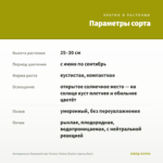 Антирринум (Львиный зев) Twinny Yellow Shades (срезы/5шт) — параметры сорта