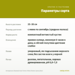 Антирринум (Львиный зев) Twinny Yellow Shades (срезы/5шт) — параметры сорта