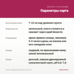 Аптения Сердцелистная Вариегатная (0,1л) — параметры сорта