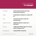 Аптения Сердцелистная Вариегатная (0,1л) — что приедет