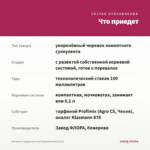 Аптения Сердцелистная Вариегатная (0,1л) — что приедет