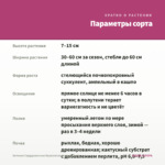 Аптения Сердцелистная Вариегатная (срезы/3шт) — параметры сорта