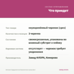 Аптения Сердцелистная Вариегатная (срезы/3шт) — что приедет