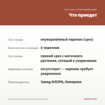 Аргирантемум Aramis Double Apricot (срез/5шт) — что приедет