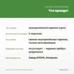 Аргирантемум Aramis Double White (срез/5шт) — что приедет