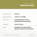 Аргирантемум Aramis Semi Double Lemon (срез/5шт) — параметры сорта
