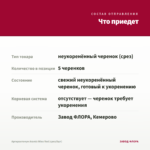 Аргирантемум Aramis Wine Red (срез/5шт) — что приедет