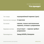 Аргирантемум Double Lemon (срез/5шт) — что приедет