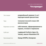 Аргирантемум LaRita Rose (0,1л) — что приедет