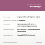 Аргирантемум LaRita Rose (срез/5шт) — что приедет