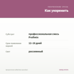 Аргирантемум LaRita Rose (срез/5шт) — как укоренить черенок
