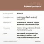 Аргирантемум LaRita Toffee (срез/5шт) — параметры сорта