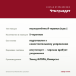 Аргирантемум Madeira Red (срез/5шт) — что приедет