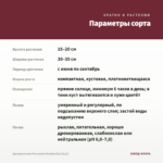 Аргирантемум Percussion Double Red (0,1л) — параметры сорта