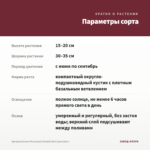 Аргирантемум Percussion Double Red (срез/5шт) — параметры сорта