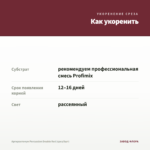 Аргирантемум Percussion Double Red (срез/5шт) — как укоренить черенок