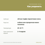 Аргирантемум Percussion Teddy Lemon (срез/5шт) — как укоренить черенок