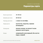 Аргирантемум Percussion Teddy Lemon (срез/5шт) — параметры сорта